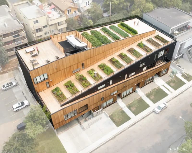 Bankview community garden